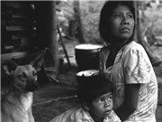 Eduardo Kohn và tư duy đại ngàn